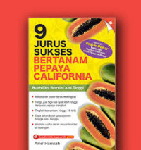 9 Jurus Sukses Bertanam Pepaya California