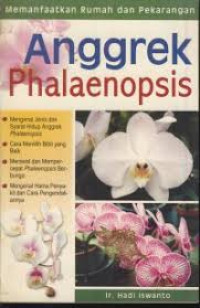 Anggrek Phalaenopsis