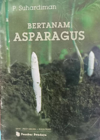 Bertanam Asparagus