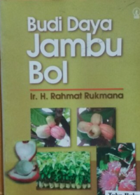 Budi Daya Jambu Bol