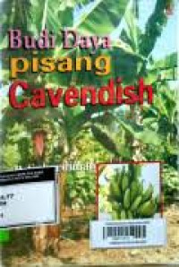 Budi Daya Pisang Cavendish