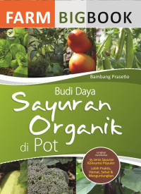 Budi Daya Sayuran Organik di Pot