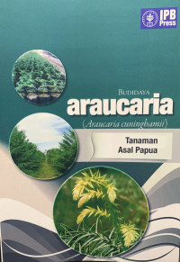 Budidaya Araucaria tanaman asal Papua