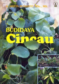 Budidaya Cincau