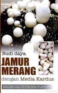 Budidaya Jamur Kerang dengan Media Kardus