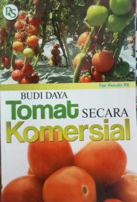 Budidaya Tomat Secara Komersial