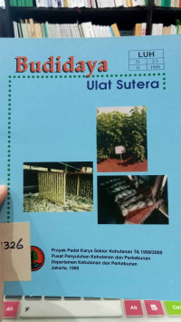 Budidaya Ulat Sutera