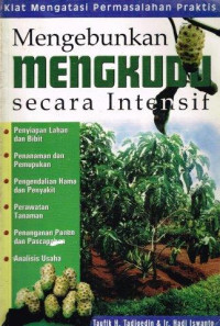 Mengebunkan Mengkudu Secara Intensif