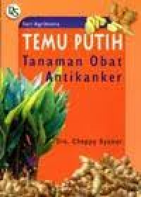 Temu Putih Tanaman Obat Antikanker