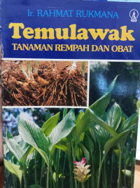 Temulawak Tanaman Rempah Dan Obat