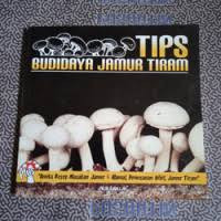 Tips Budidaya Jamur Tiram